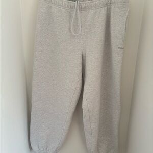 Aritzia Tna Mega fit Sweatpants